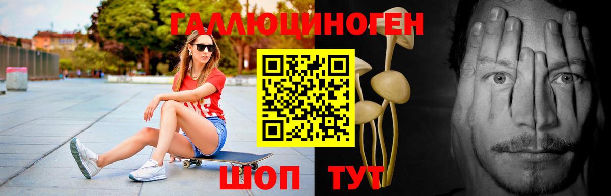 Псилоцибиновые грибы GOLDEN TEACHER Лысьва